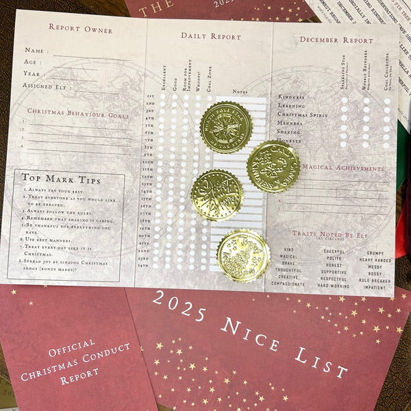 Christmas Conduct Behaviour Report